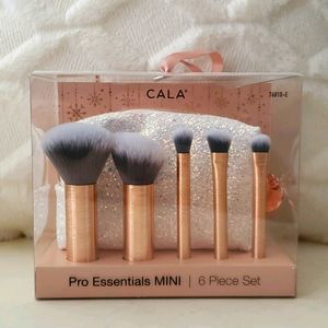 Makeup brush set w bag!